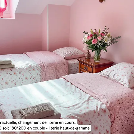 La Rose Du Chateau בית הארחה לורדה