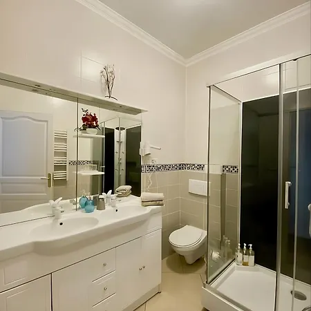 La Rose Du Chateau 3* ルルド