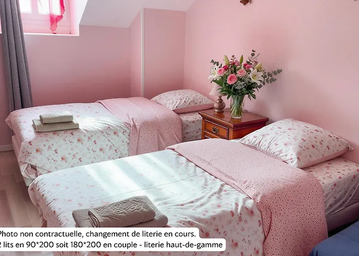 La Rose Du Chateau ゲストハウス ルルド