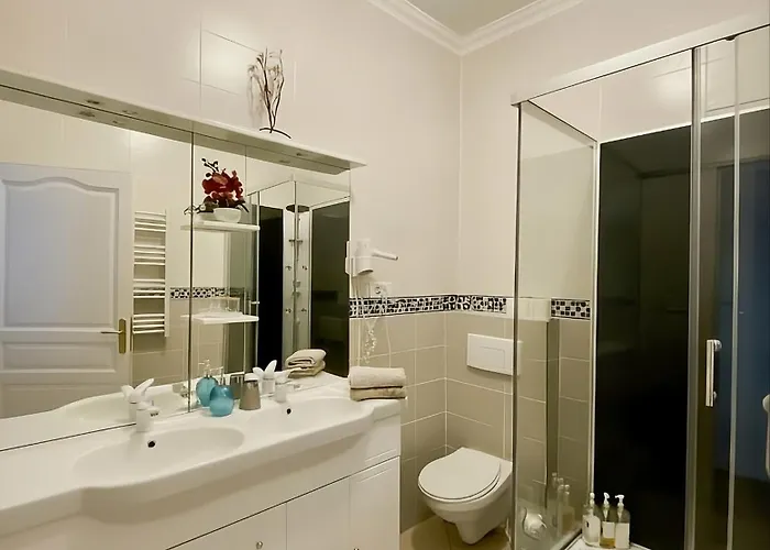 La Rose Du Chateau 3* ルルド